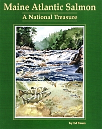 Image for MAINE ATLANTIC SALMON: A National Treasure