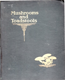 Image for Mushrooms and toadstools : an account of the more common edible and poisonous Fungi of Canada Mushrooms and toadstools : an account of the more common edible and poisonous Fungi of Canada