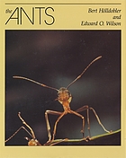 Image for THE ANTS THE ANTS